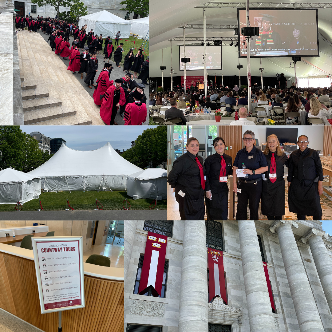 A collage of six photographs: graduates lined up outside; people watching the graduation ceremony on screens inside a tent; another view of tents on a lawn; employees smiling together; a sign listing graduation week tours of Countway Library; and another view of banners hanging outside Harvard Medical School