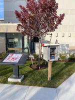 a Little Free Library in Countway's Huntington Avenue Plaza