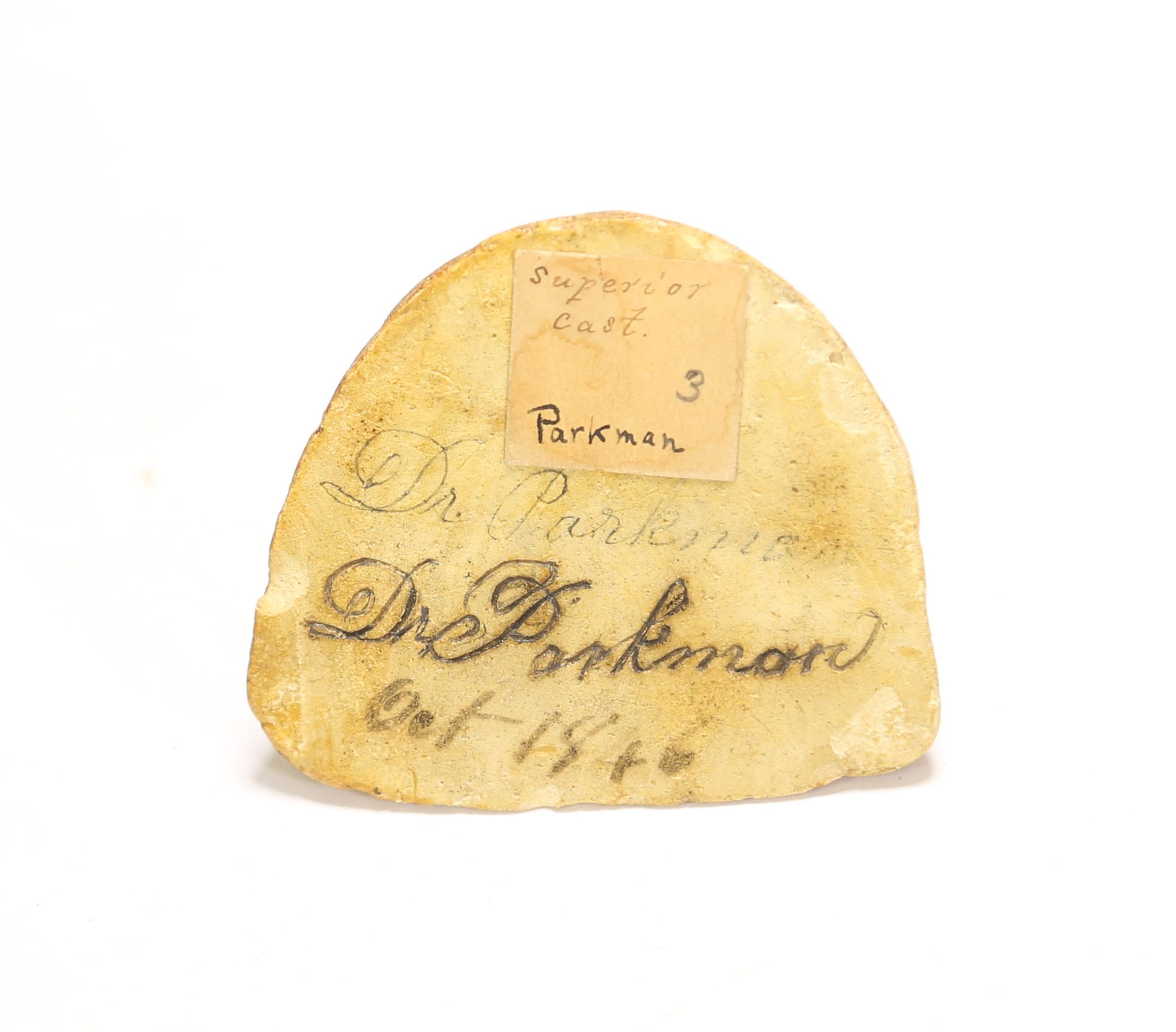 underside of superior dental cast with a label that says superior cast 3 Parkman, two signatures from Dr. Parkman directly into the wet plaster, and the date of Oct 1846