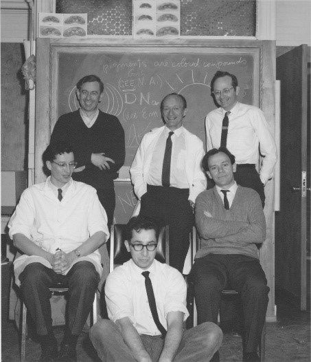 David Potter, Ed Furshpan, Steve Kuffler, David Hubel, Torsten Wiesel, and Ed Kravitz posing in front of a blackboard