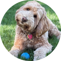 Photo of Vigi