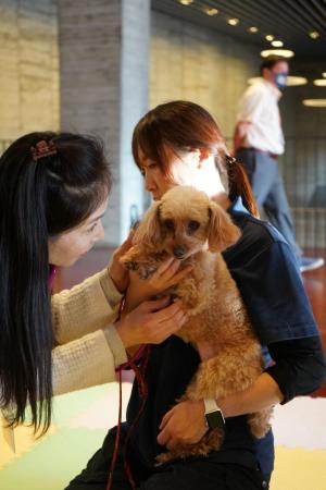 A woman petting a small therapy dog being held by a second woman.