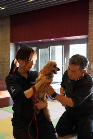 A man checking the heartbeat of a small therapy dog being held by a woman.
