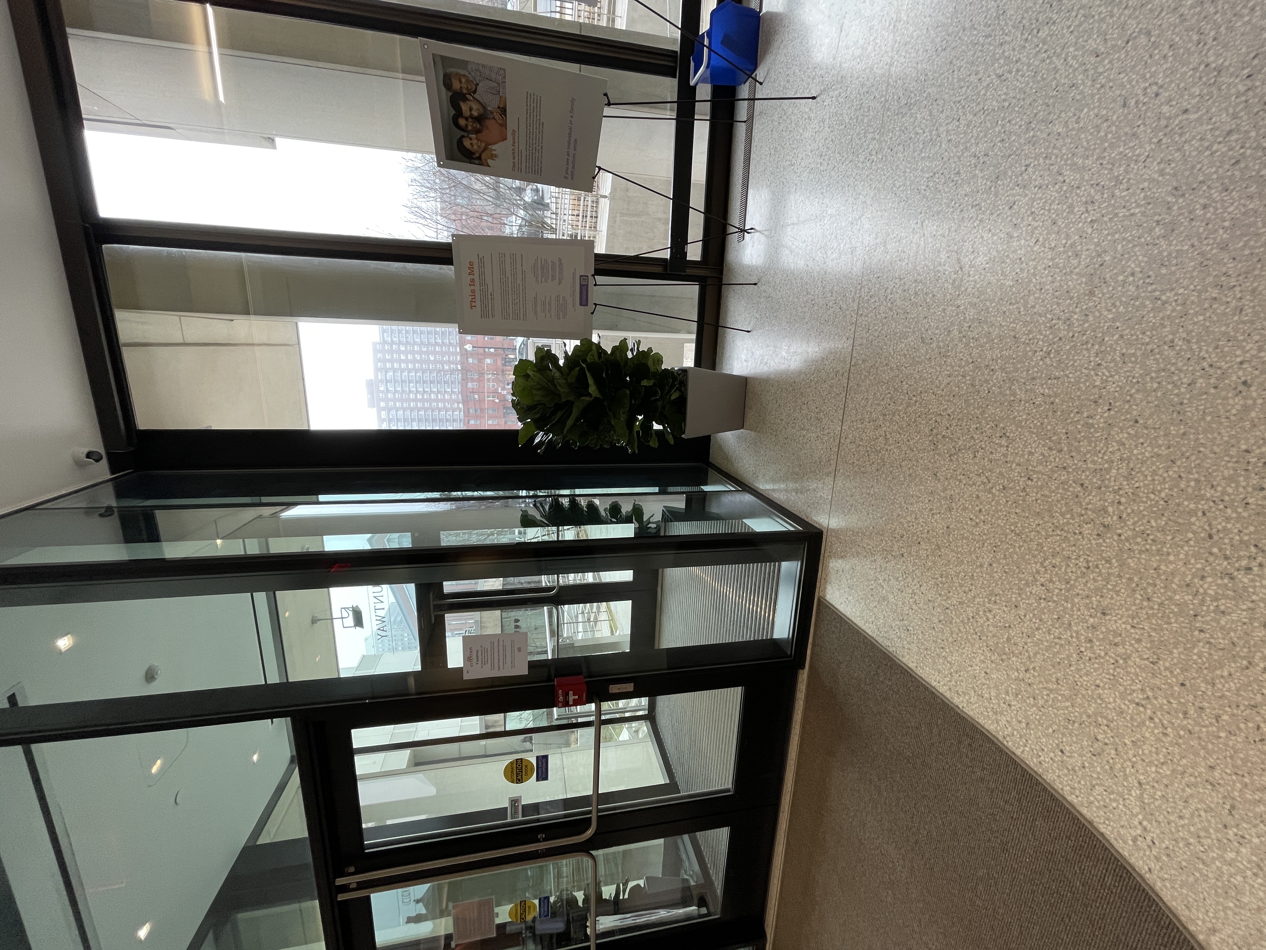 One planter with a fiddle leaf fig bush on the right side of the Huntington St entrance interior