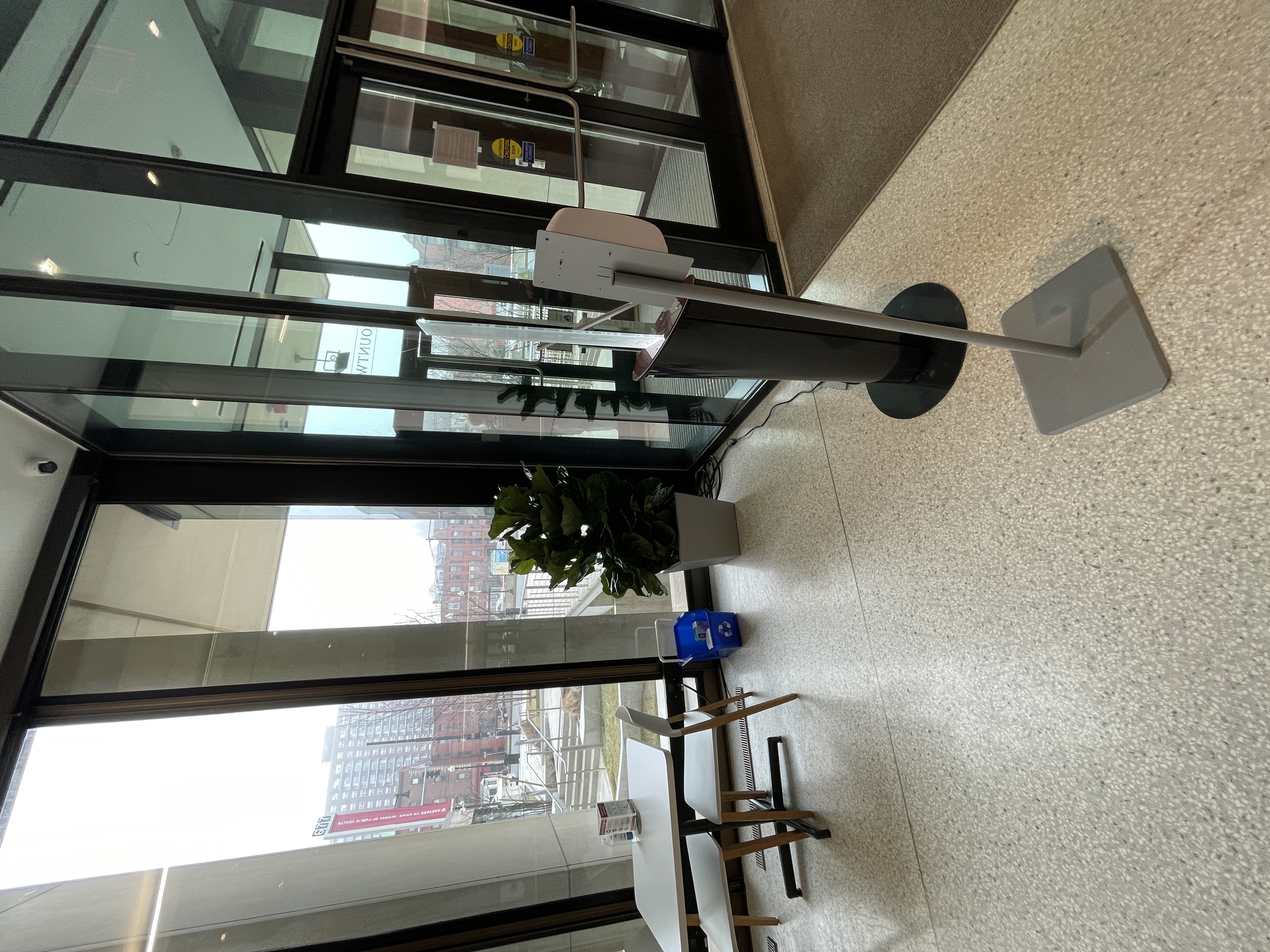 Another planter with a fiddle leaf fig bush on the left side of the Huntington St entrance interior