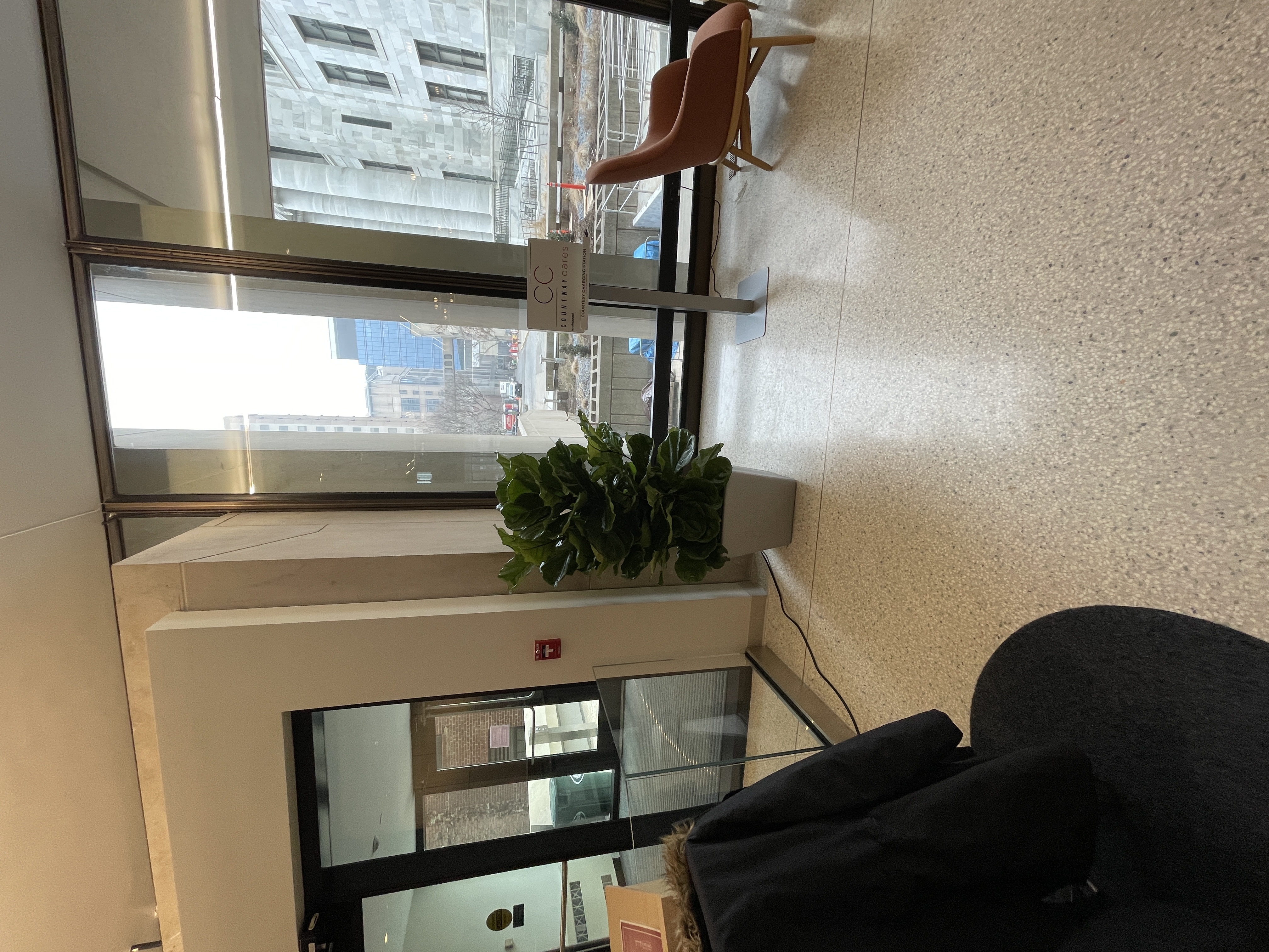 A larger planter containing a fiddle leaf fig bush to one side of the Shattuck St entrance