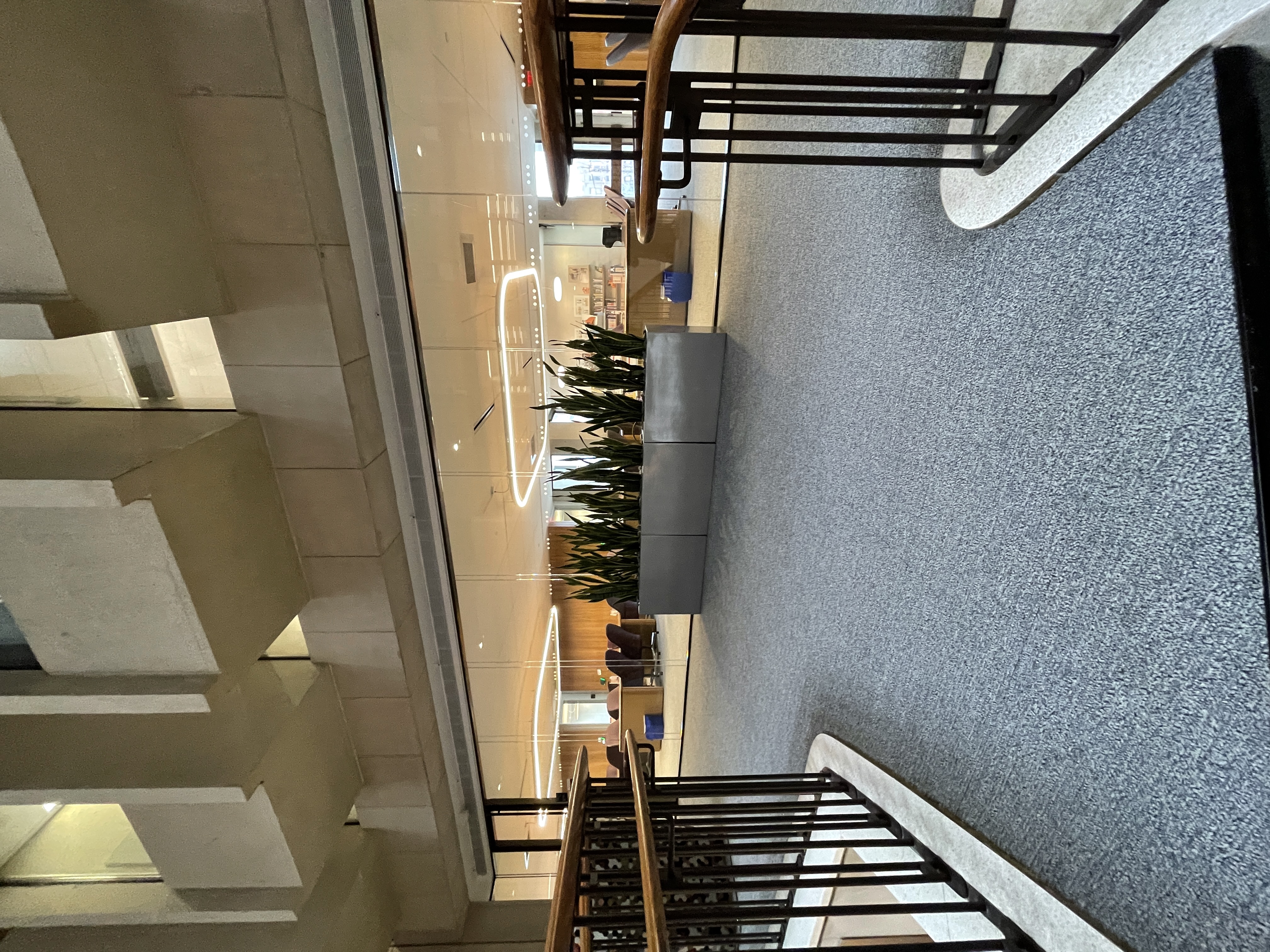 Another view of the snake plants outside the Russell Reading Room