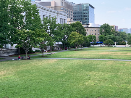 students sitting on the lawn on HMS campus