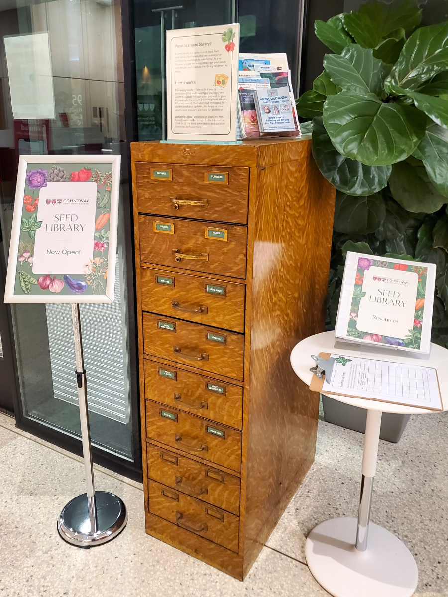 seed library cabinet