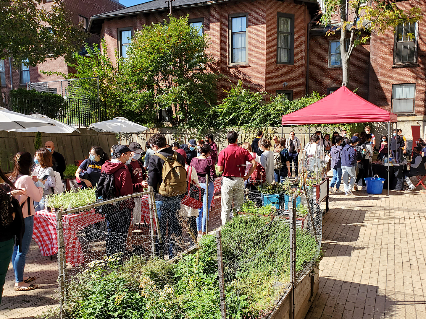 grad students gathered in the community garden