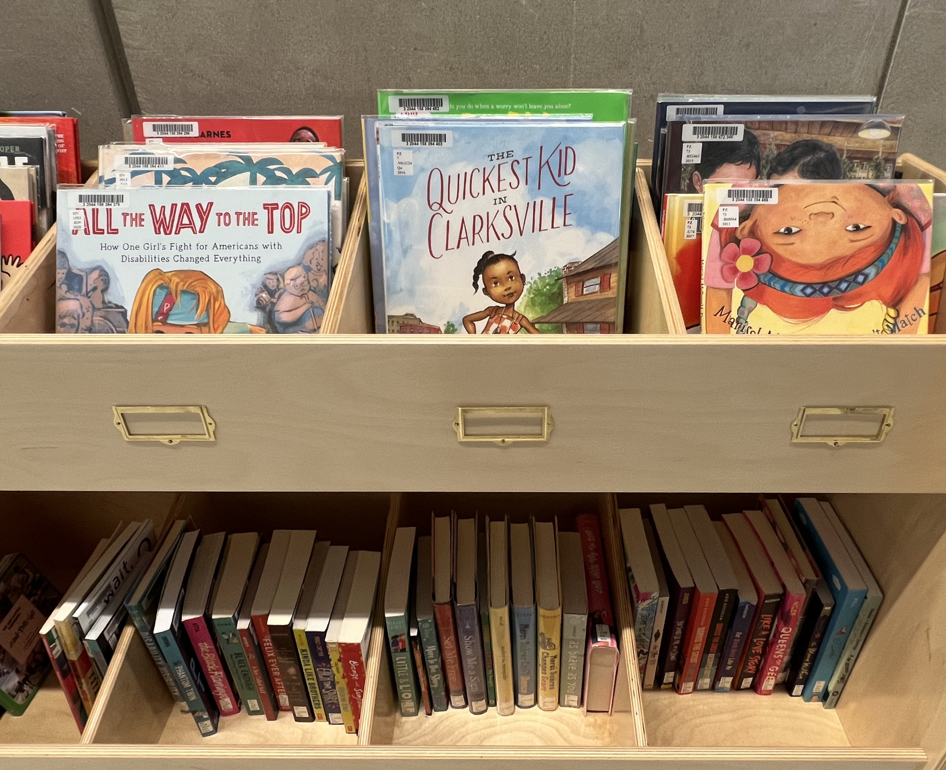 Bookshelf with children's diversity and health books