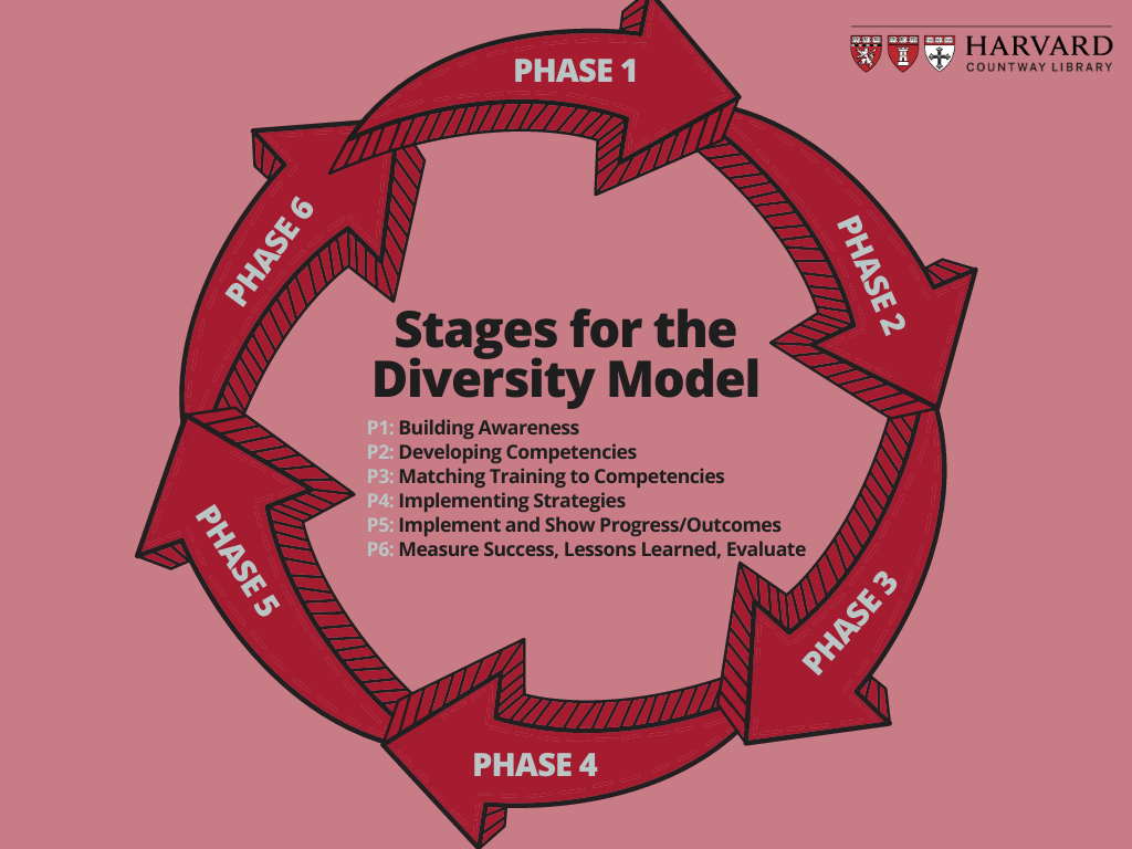 Arrows labeled Phase 1 through Phase 6 arranged in a circle to represent stages for the diversity model. Phase 1 is building awareness. Phase 2 is developing competencies. Phase 3 is matching training to competencies. Phase 4 is implementing strategies. Phase 5 is implement and show progress/outcomes. Phase 6 is measure success, lessons learned, evaluate.
