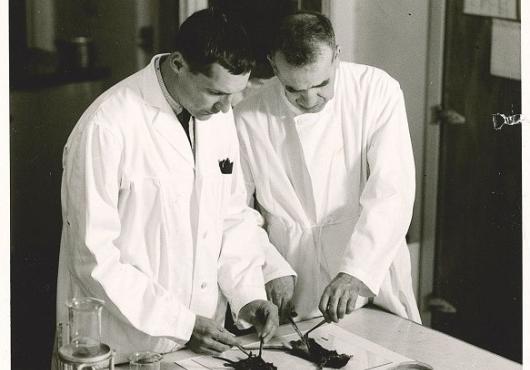 John W. Vinson and colleague dissect rats