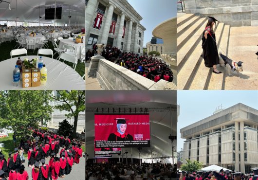 graduation collage
