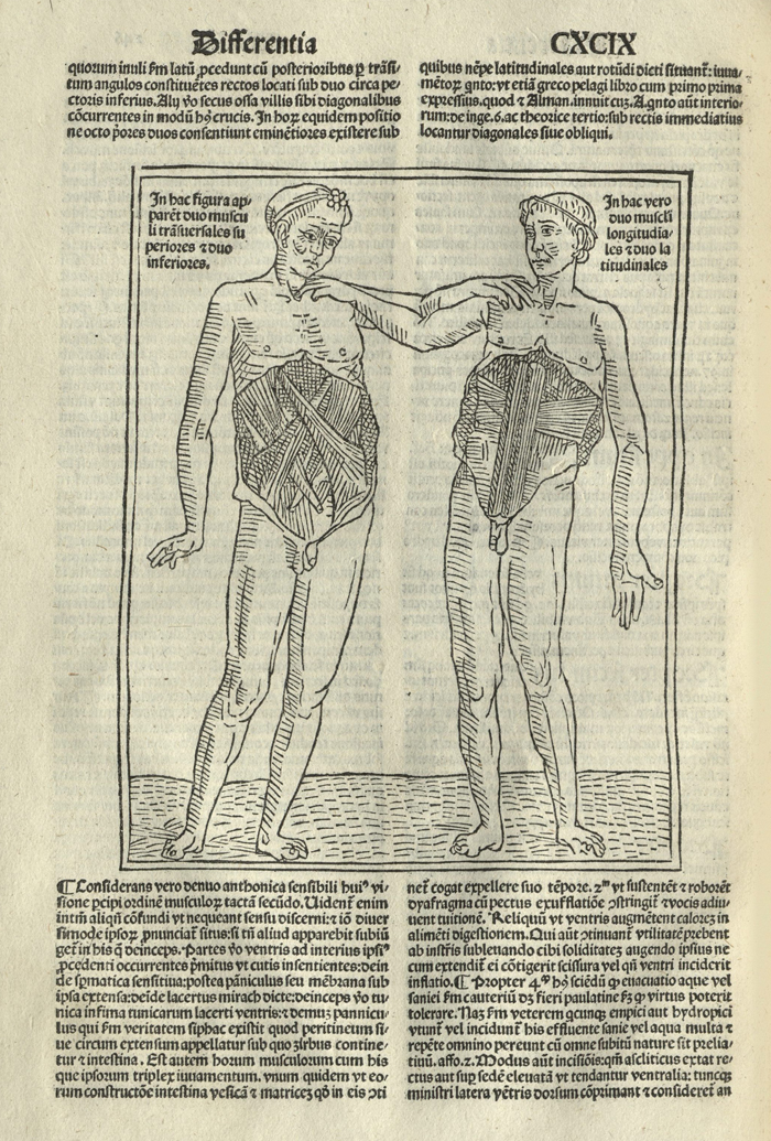 Page of Latin text illustrated with two naked men with their arms on each others shoulders and the skin pulled back from their torsos to show their inner anatomy. From the 1496 rare book Conciliator differentiarum philosophorum et medicorum.