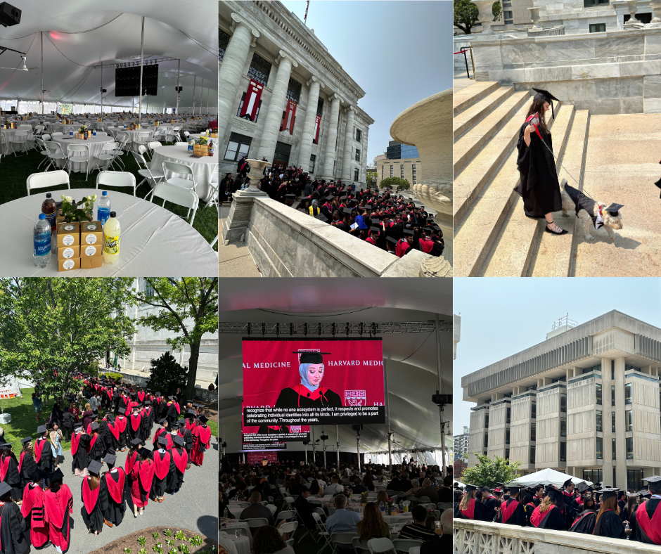 collage of graduation photographs