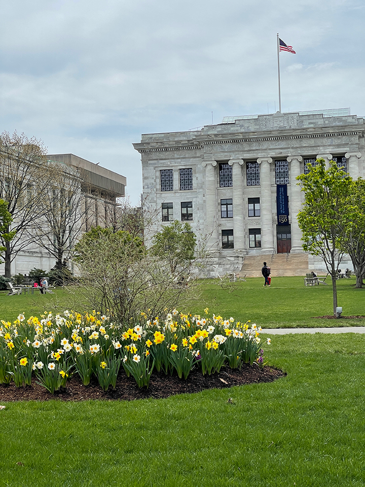 Harvard Medical School building with yellow and white flowers in the front