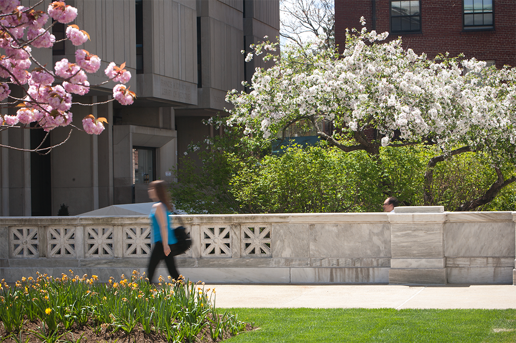 a woman walking by budding trees outside library building 