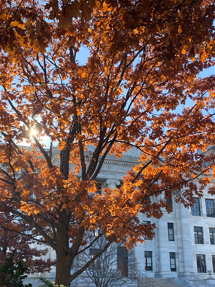 Fall leaves in front of Gordon Hall