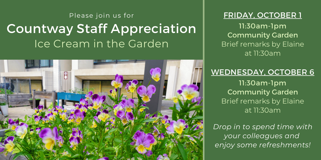 Please join us for Countway staff appreciation ice cream in the garden Friday, October 1 or Wednesday, October 6 from 11:30 a.m. to 1 p.m. in the Community Garden with brief remarks by Elaine at 11:30 a.m. on both days. Drop in to spend time with your colleagues and enjoy some refreshments.